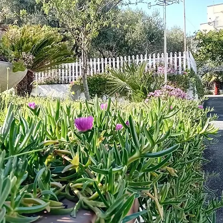 Residenza Al Borgo Hotel apartamentowy Pietra Ligure